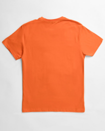 Футболки и поло CARICA модель 14617 Фото