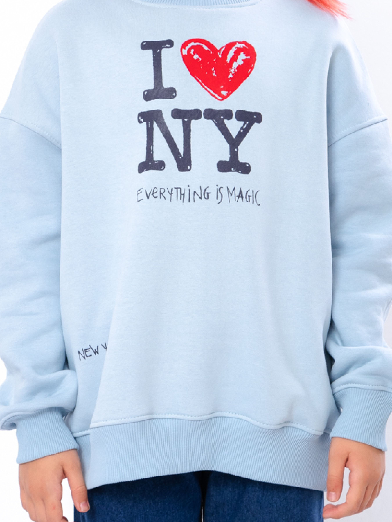 Світшот Носи своє модель 6416-025-33-svtlo-blakitnij Світшот Носи своє модель 6416-025-33-svtlo-blakitnij Фото