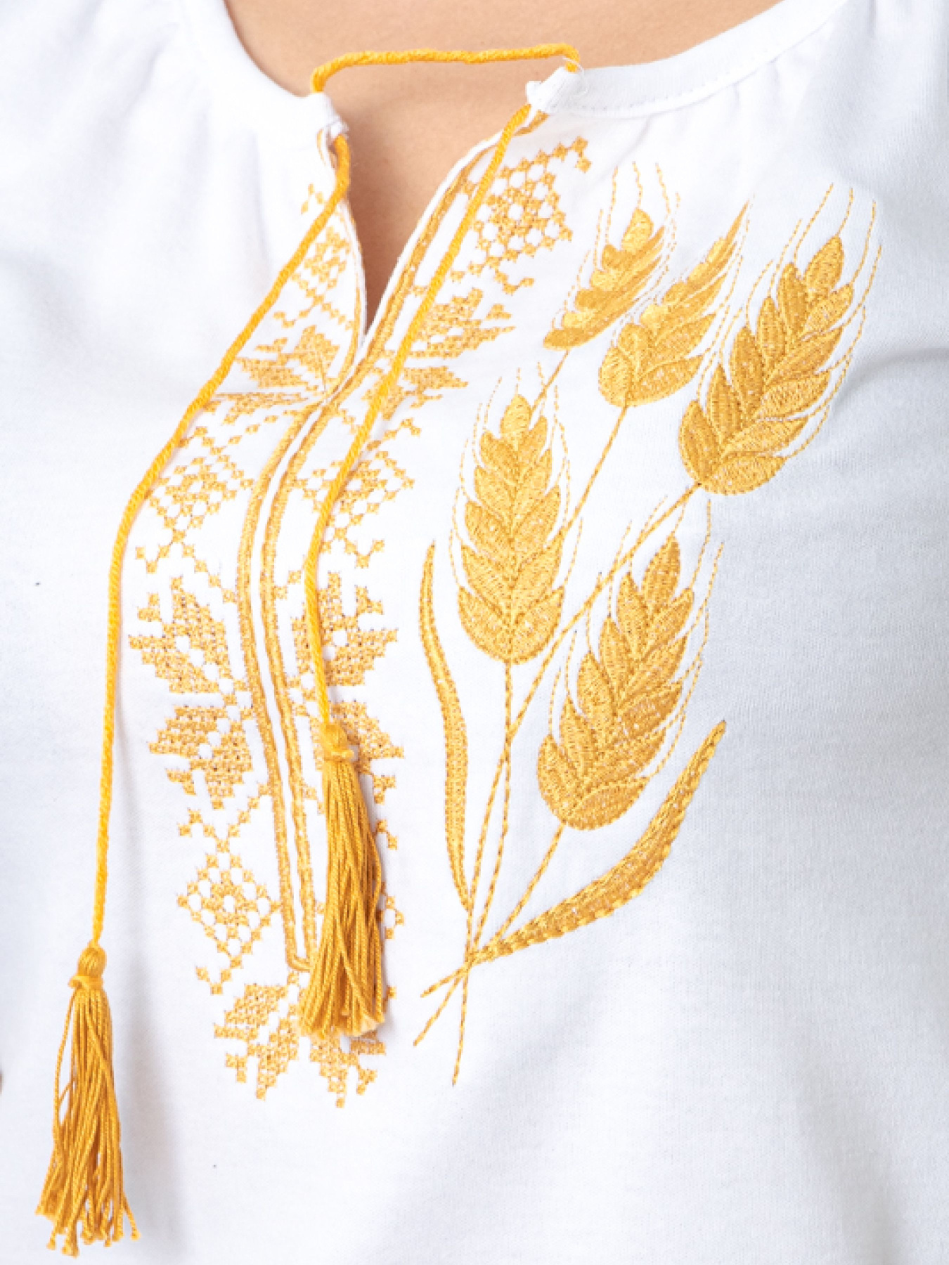 Вишита сорочка Носи своє Модель 8604-038-22-1-koloski Фото