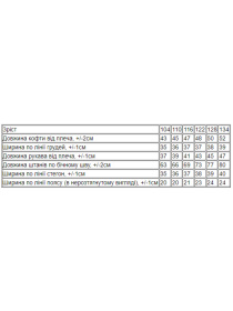 Спортивний костюм Носи своє Модель 6018-023-33-8-sakura-stch Фото