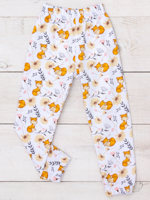 Джоггеры Носи своє модель 6155-024-5-lisichki-blij Фото