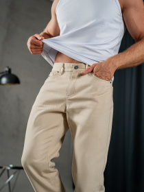 Повседневные штаны TeamV модель 134-2 Фото