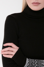 Светр Sewel модель SW583012100 Фото