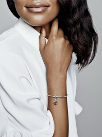 Класичні PANDORA Moments модель 798021CZ Фото