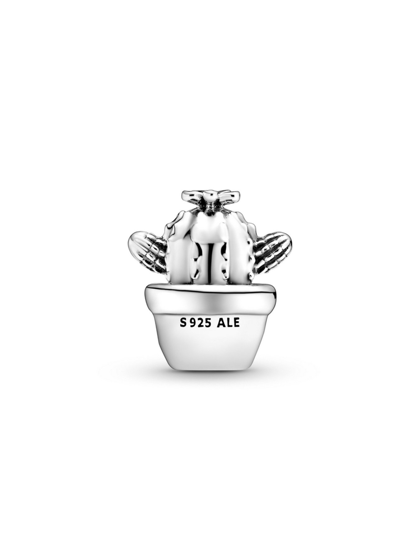 Класичні PANDORA Moments модель 798786C01 Фото