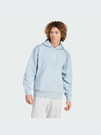 Худи и свитшоты Adidas модель IY6596-KZ Фото