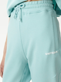 Джоггеры UNITED4 модель UPWS.MNT Фото