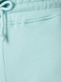 Джоггеры UNITED4 модель UPWS.MNT Фото