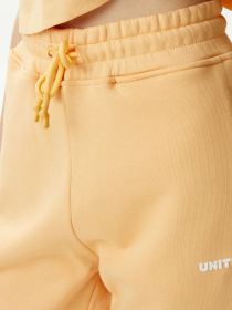 Джоггеры UNITED4 модель UPWS.TRC Фото