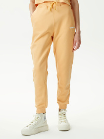 Джоггеры UNITED4 модель UPWS.TRC Фото