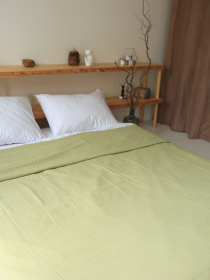 Хлопковое одеяло Колос цвет Оливковый BedclozZzes модель 11362 Фото