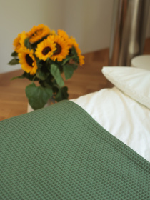 Хлопковое одеяло Точка цвет Зелёный BedclozZzes модель 13901 Фото