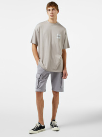 Шорты UNITED4 модель 24UESM.ANT Фото