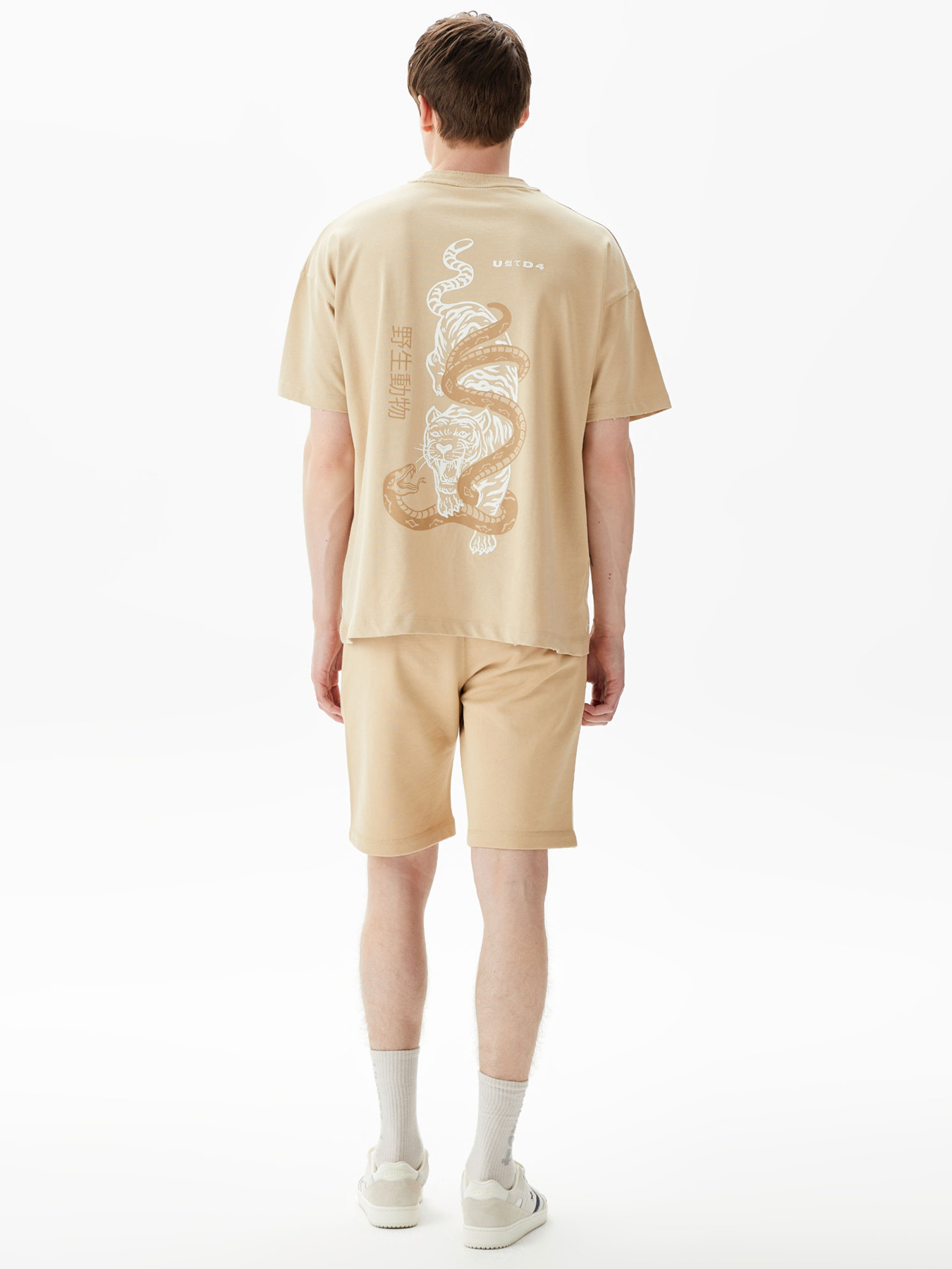 Повседневные шорты UNITED4 модель USMS.CML Фото