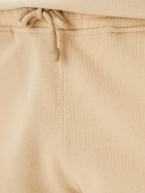 Повседневные шорты UNITED4 модель USMS.CML Фото