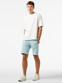 Шорты UNITED4 модель USMS.MNT Фото