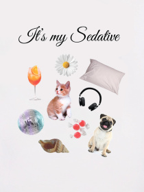 Лонгслів Romashka Седатив модель 207021702072 Фото