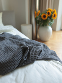 Хлопковое одеяло Точка цвет Серый BedclozZzes модель 13904 Фото