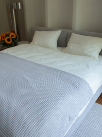 Хлопковое одеяло Точка цвет Светло-серый BedclozZzes модель 13904-1 Фото