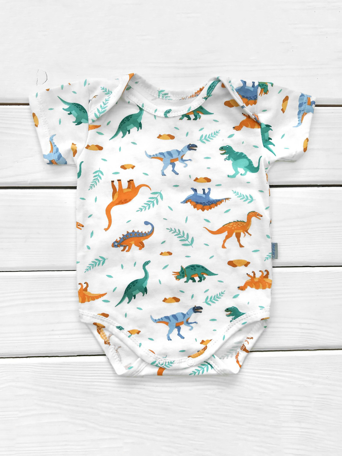 Боді для немовлят Dexter’s модель DinosaursWhiteBDSTDXT Фото