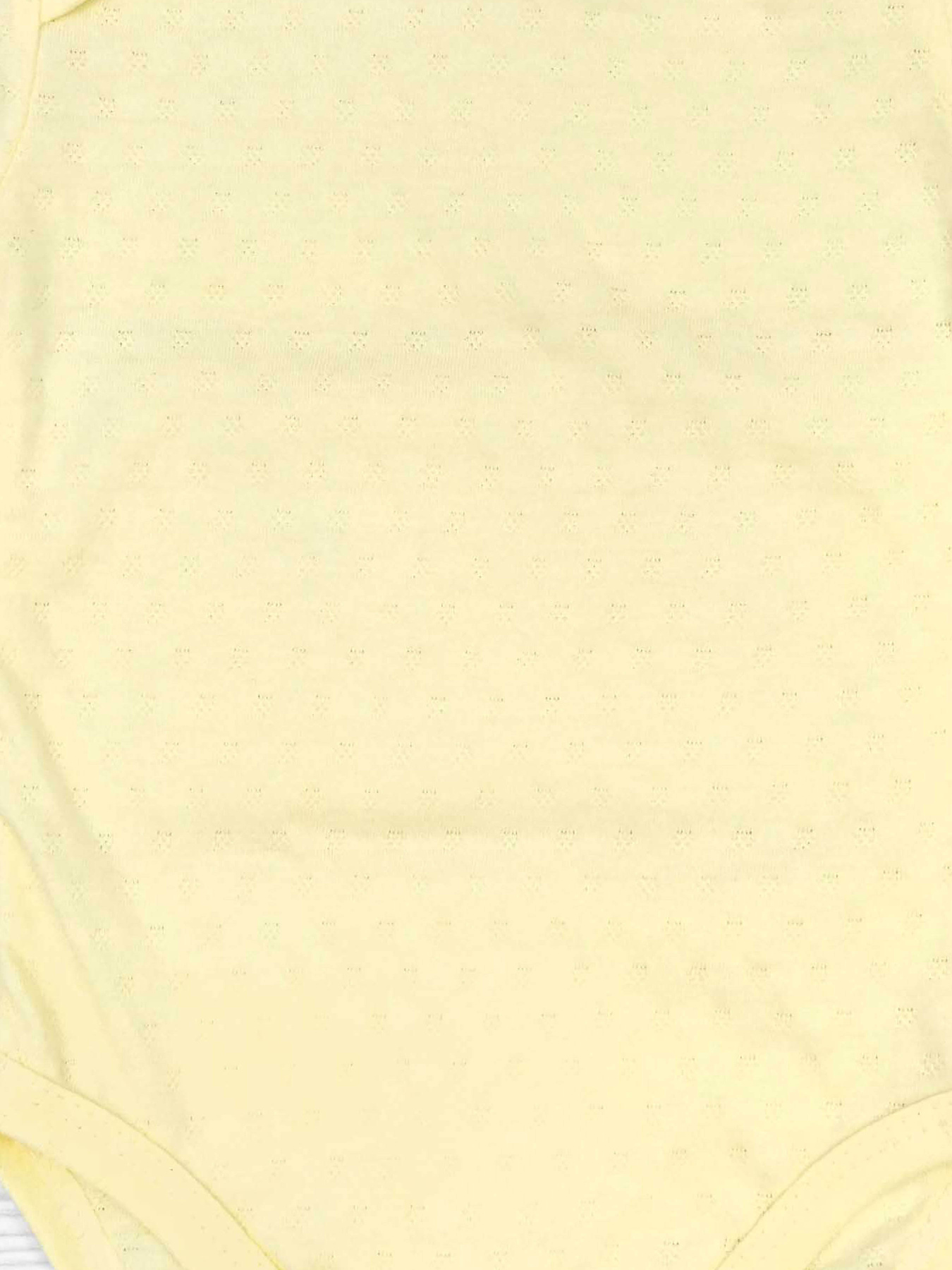 Боди для младенцев Dexter’s модель SunYellowBDSTDXT Фото