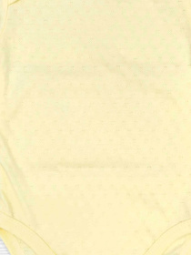 Боди для младенцев Dexter’s модель SunYellowBDSTDXT Фото