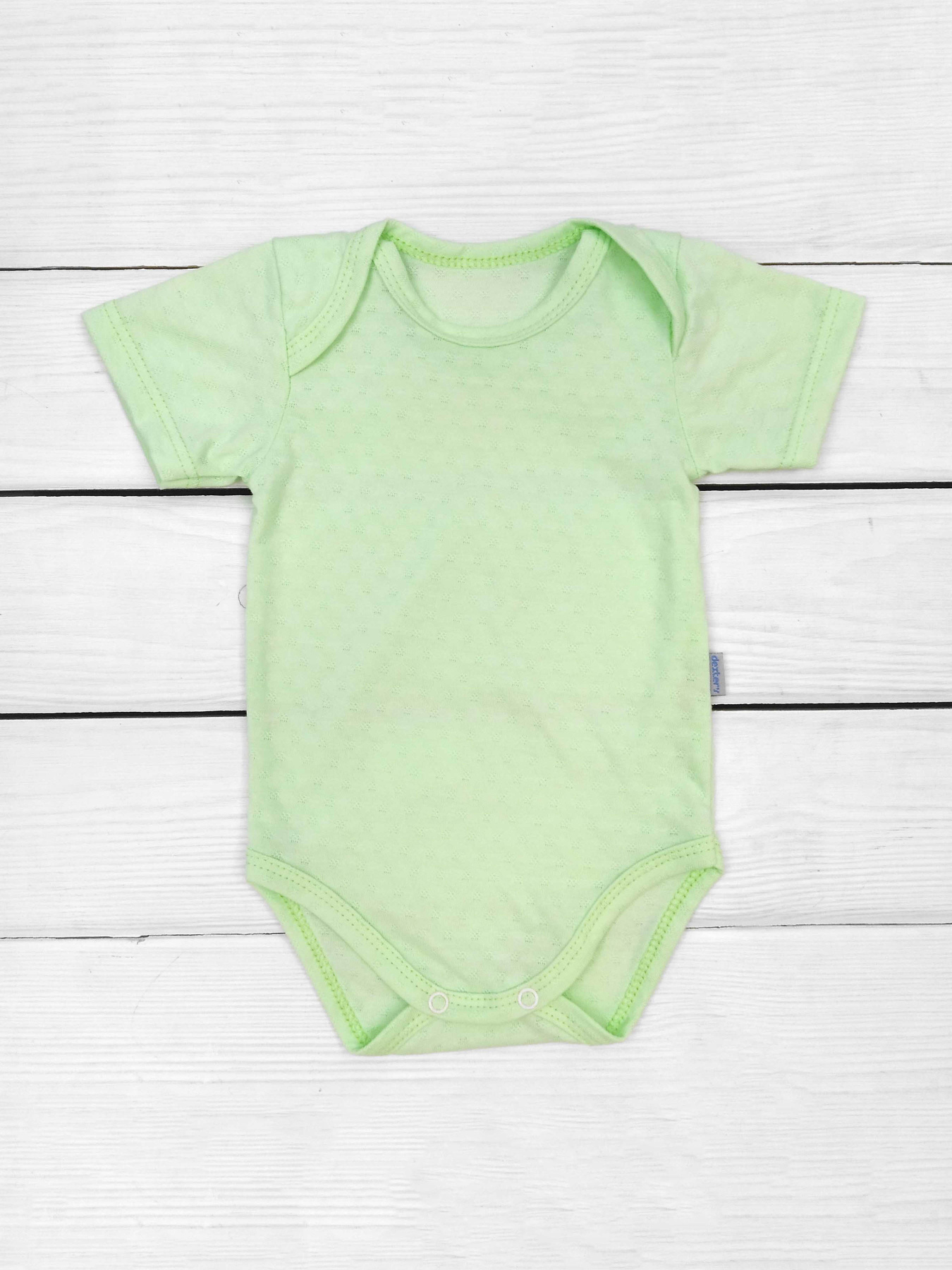 Боди для младенцев Dexter’s модель SalatGreenBDSTDXT Фото