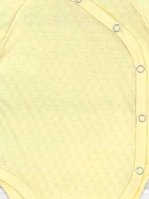 Боди для младенцев Dexter’s модель SunYellow2BDSTDXT Фото