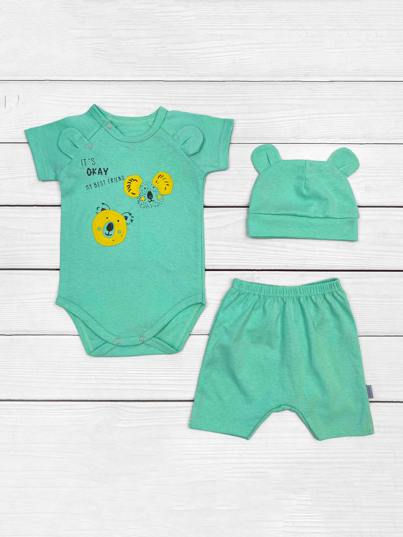 Комплект для младенцев Dexter’s модель FacesGreenBDSTDXT Фото