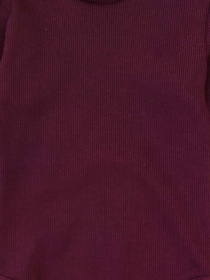 Боди для младенцев Dexter’s модель FigBurgundyBDSTDXT Фото