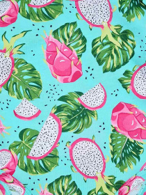 Боди для младенцев Dexter’s модель PitahayaMentholPink2BDSTDXT Фото