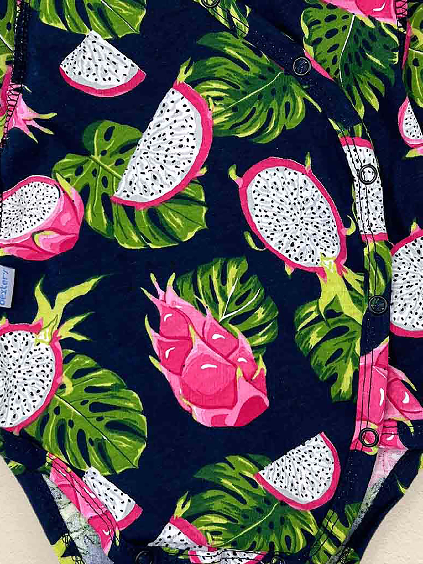 Боди для младенцев Dexter’s модель PitahayaDarkBluePinkBDSTDXT Фото