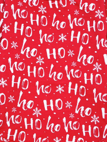 Боди для младенцев Dexter’s модель ChristmasXoxoRedBDSTDXT Фото