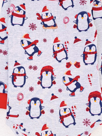 Боді для немовлят Dexter’s модель ChristmasPenguinGrayRedBDSTDXT Боді для немовлят Dexter’s модель ChristmasPenguinGrayRedBDSTDXT Фото