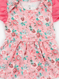 Комплект для младенцев Dexter’s модель FloralPinkBDSTDXT Фото