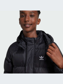 Пуховик Adidas Adicolor модель IY7498 Пуховик Adidas Adicolor модель IY7498 Фото