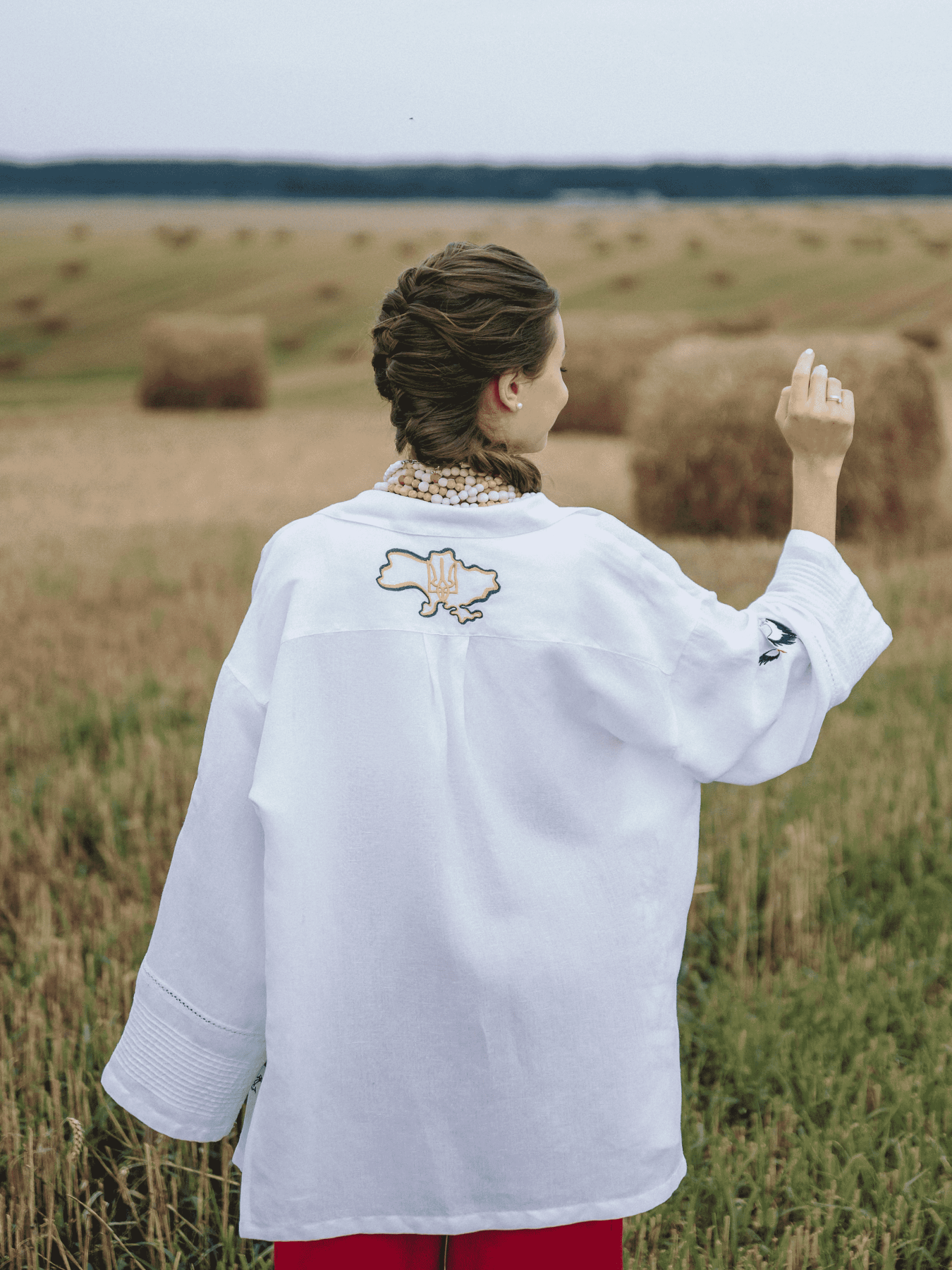 Вышитая рубашка Едельвіка модель 144-24-00 Фото