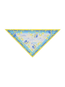 Платок MyScarf Basic модель p19661430521 Фото