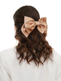 Заколка для волос MyScarf модель ba_0480334 Фото