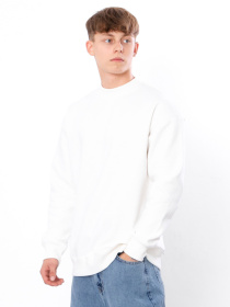 Свитшот Носи своє модель 3364-025-svtlo-molochnij Фото