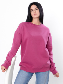 Свитшот Носи своє модель 3355-025-oksamitova-orhdeq Фото