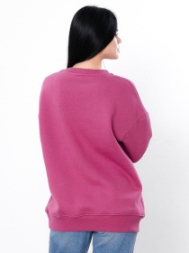 Свитшот Носи своє модель 3355-025-oksamitova-orhdeq Фото