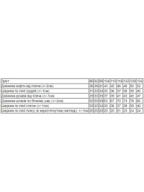 Спортивный костюм Носи своє модель 6018-023-33-5-malina Фото