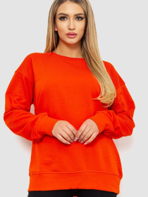 Світшот Ager модель У-1127575::000000062 Фото