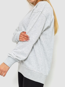 Світшот Ager модель У-1127575::000000069 Фото