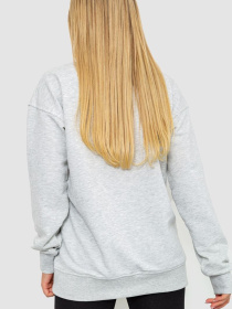 Світшот Ager модель У-1127575::000000069 Фото