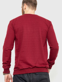 Свитшот Ager модель У-1122030::000000029 Фото