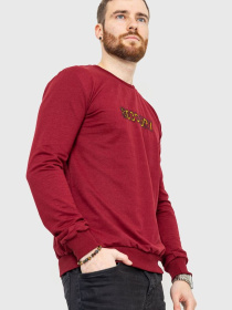 Свитшот Ager модель У-1122030::000000029 Фото