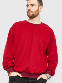 Свитшот Ager модель У-1122024::000000029 Фото