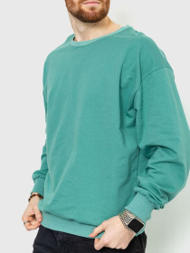 Свитшот Ager модель У-1122024::000000158 Свитшот Ager модель У-1122024::000000158 Фото